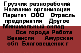 Грузчик-разнорабочий › Название организации ­ Паритет, ООО › Отрасль предприятия ­ Другое › Минимальный оклад ­ 29 000 - Все города Работа » Вакансии   . Амурская обл.,Благовещенск г.